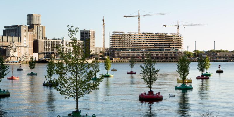 Werkplaats Sociaal Domein Zuid-Holland Zuid | Verbindend werken in RoTTerdamse wijken