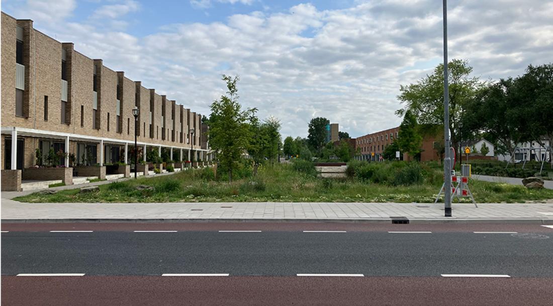 Werkplaats Sociaal Domein Zuid-Holland Zuid | BLOG: Studenten in de wijk