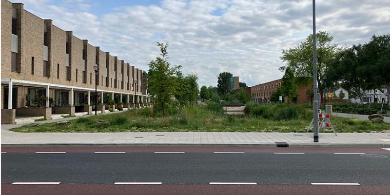 Werkplaats Sociaal Domein Zuid-Holland Zuid | BLOG: Studenten in de wijk