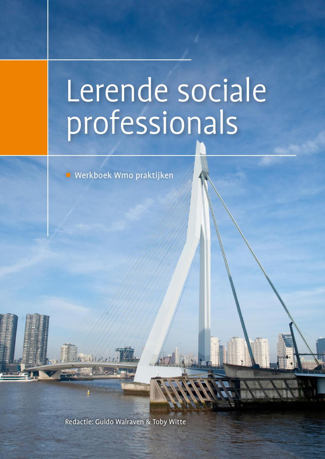Werkplaats Sociaal Domein Zuid-Holland Zuid | Lerende sociale professionals