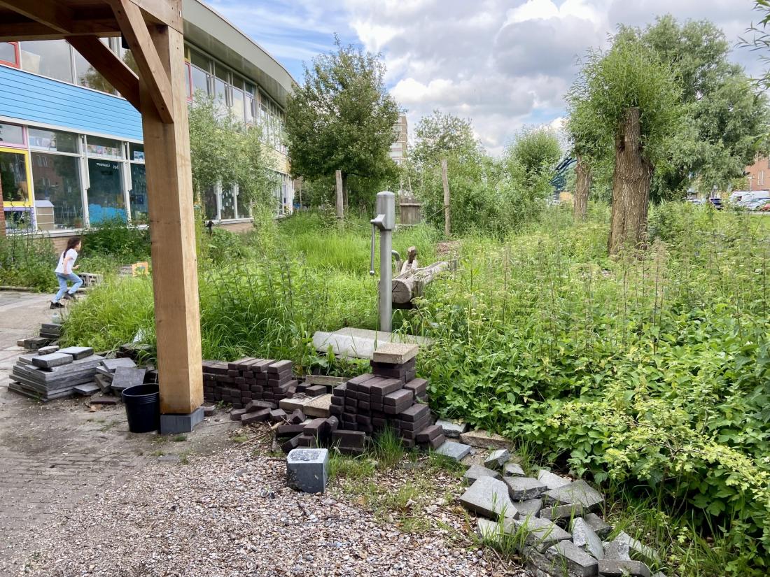 Werkplaats Sociaal Domein Zuid-Holland Zuid | De wijk als steunstructuur