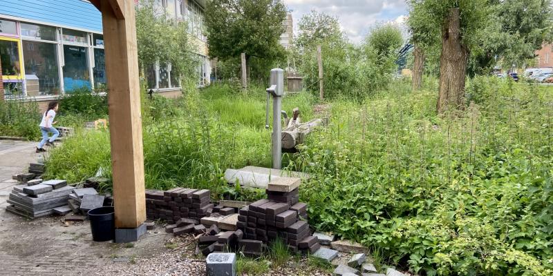 Werkplaats Sociaal Domein Zuid-Holland Zuid | De wijk als steunstructuur