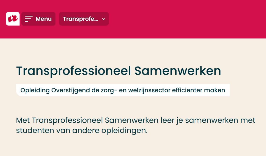 Werkplaats Sociaal Domein Zuid-Holland Zuid | Studenten maken een gedragen herontwerp voor een Schiedamse binnentuin