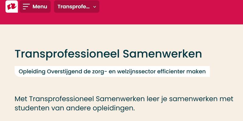 Werkplaats Sociaal Domein Zuid-Holland Zuid | Studenten maken een gedragen herontwerp voor een Schiedamse buurttuin