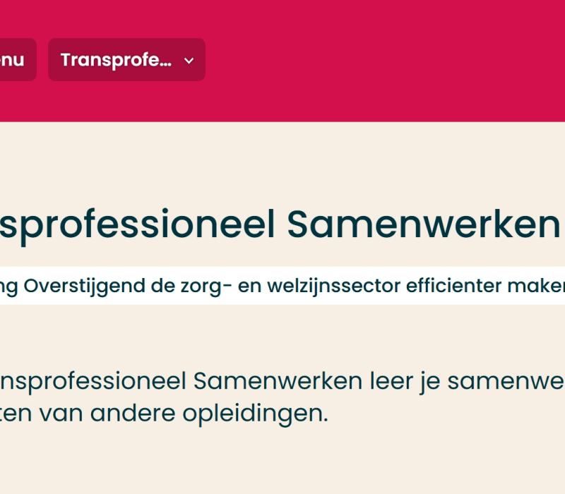Werkplaats Sociaal Domein Zuid-Holland Zuid | Studenten maken een gedragen herontwerp voor een Schiedamse binnentuin
