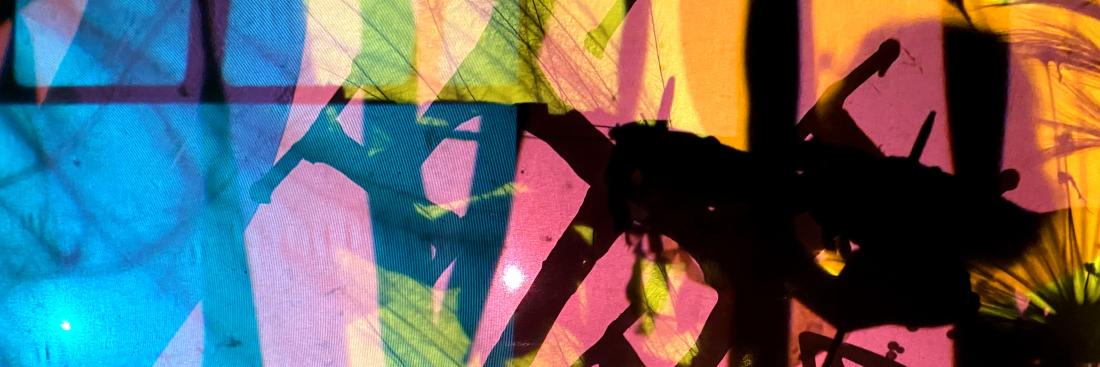 Werkplaats Sociaal Domein Zuid-Holland Zuid | Ecozine #2: Stem geven aan onrecht